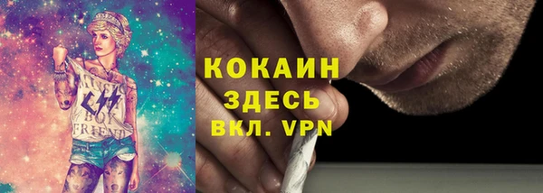 мет Алексин