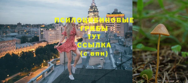 прущие крисы Алзамай