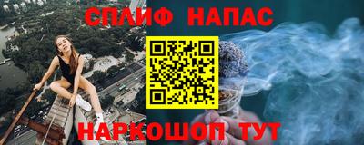 кокс Гатчина