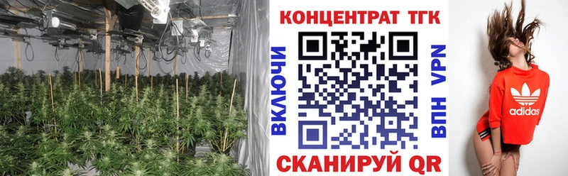ТГК гашишное масло  Новошахтинск 