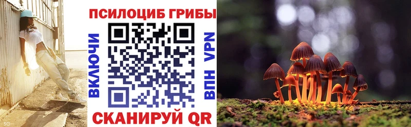 ссылка на мегу маркетплейс  Новошахтинск  Галлюциногенные грибы Psilocybine cubensis 
